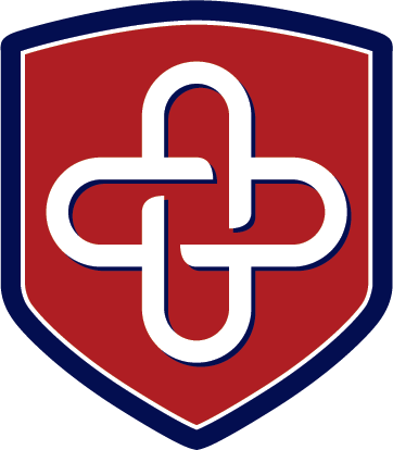 VSINIS logo